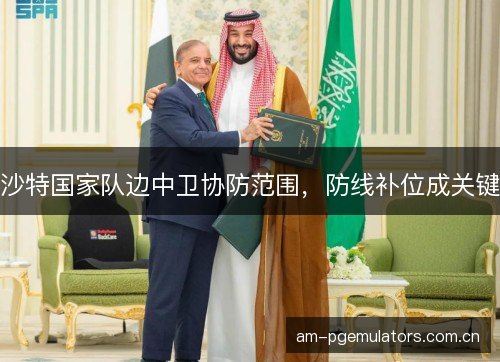 沙特国家队边中卫协防范围，防线补位成关键