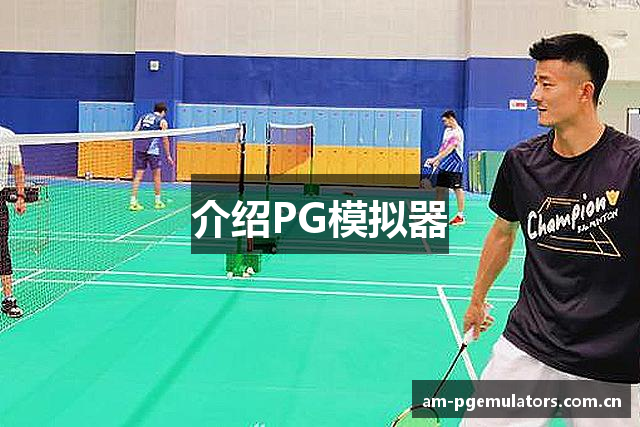 介绍PG模拟器